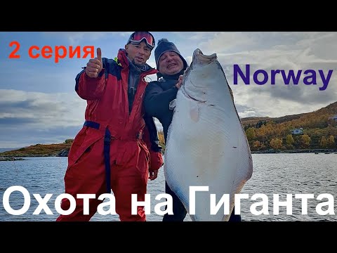 Видео: Охота на Гиганта.