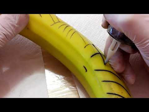 Видео: Учимся делать контур на бананах