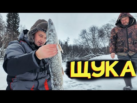 Видео: ЛОВИМ ЩУКУ НА ЖЕРЛИЦЫ. Тест эхолота Практик 8 на зимней рыбалке.