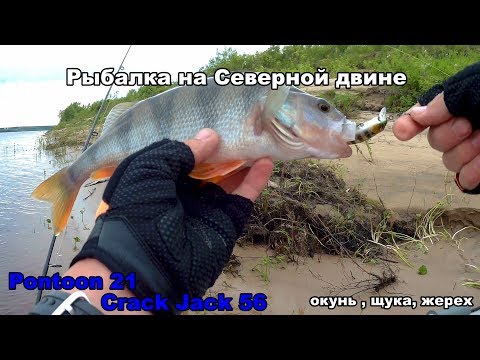 Видео: Рыбалка на Северной двине. Pontoon21 Crack Jack 58