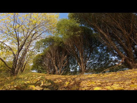 Видео: Природа Карагайского округа, Пермский край, село Карагай