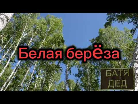 Видео: БАТЯДЕД - "БЕЛАЯ БЕРËЗА"