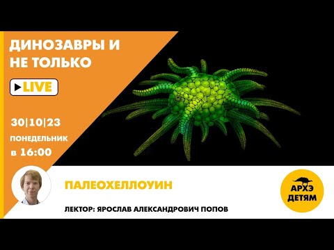 Видео: Занятие "Палеохеллоуин!" кружка "Динозавры и не только" с Ярославом Поповым