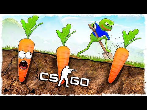 Видео: ЛЯГУШКА vs МОРКОВЬ!!! УГАРНЫЙ МАНЬЯК В CS:GO!!!
