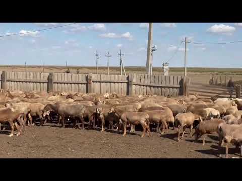 Видео: 14 сентября 2025 г.