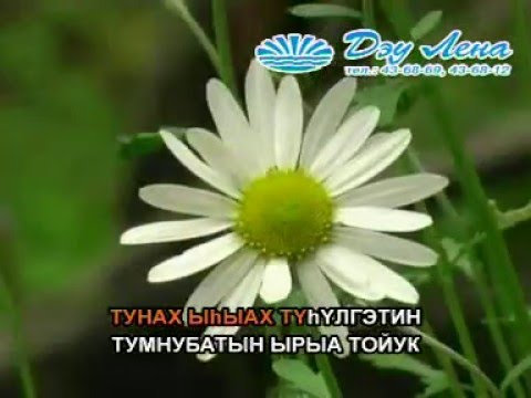 Видео: Сахалыы караоке 5 03