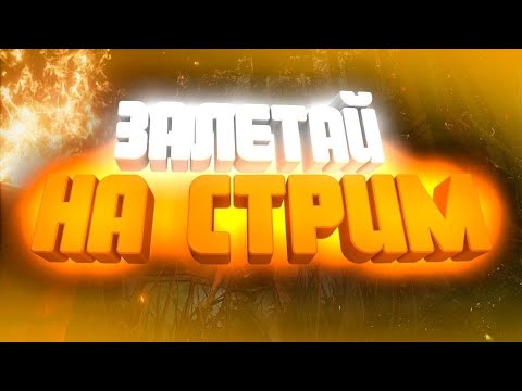 Видео: |🟡 | Стрим Tanks Blitz