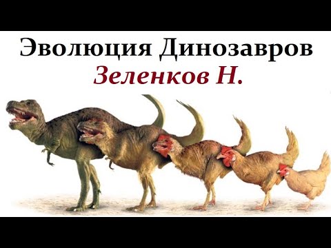 Видео: Зеленков Н. Как Великие Динозавры превратились в маленьких куриц. Video ReMastered.