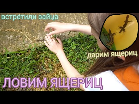 Видео: Встретили ЗАЙЦА / Ловля ящериц