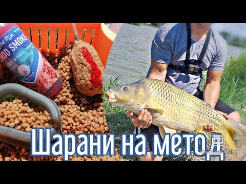 Видео: Риболов на шарани с метод фидер. Спортен риболов "Мелницата"