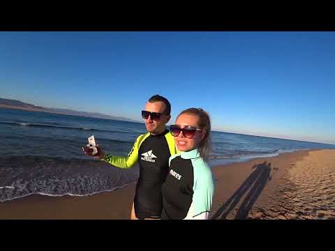 Видео: Barcelo Tiran Sharm 5*  Ваш вариант если ищите песчаный вход  в море