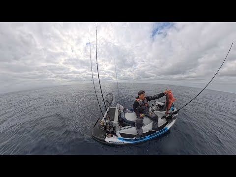 Видео: Ловля гигантской каменной рыбы на глубине более 700 футов! (Поймай и приготовь)