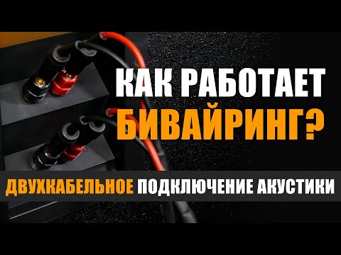 Видео: Как работает бивайринг?