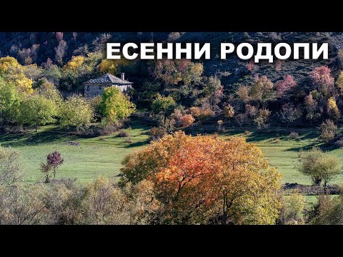 Видео: ЕСЕННИ РОДОПИ