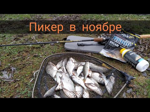 Видео: Не ловится на фидер? Пикер Вам в руки!