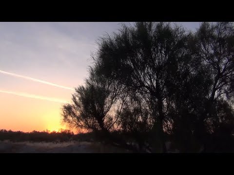 Видео: Планета Чу. Из Чу в Мойынкум .