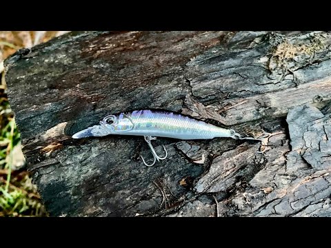 Видео: ЭТОТ ВОБЛЕР СДЕЛАЛ РЫБАЛКУ DUO REALIS ROZANTE 63SP