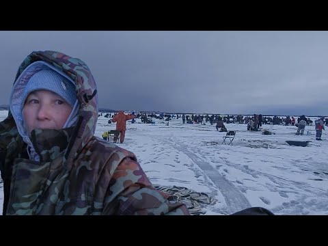 Видео: Тысячи рыбаков вышли на лед , ЭТО ЗНАЧИТ ПРЕТ зубарь..