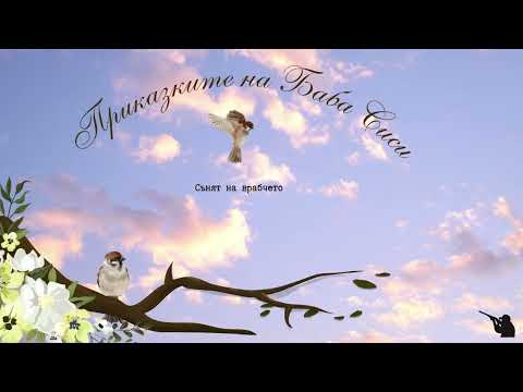 Видео: Приказките на баба Сиси | Сънят на врабчето