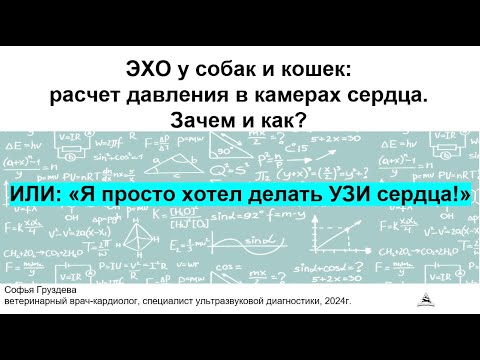 Видео: Vmax митральной регургитации 5 м/с это ок? | Уравнение Бернулли, градиент давления в ЭХО собак,кошек