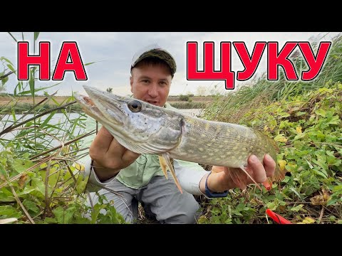 Видео: ЯКИЙ Найкращий КОЛІР на ЩУКУ ?? ловля щуки на силіконові приманки