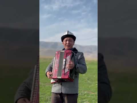 Видео: 16 ноября 2024 г.