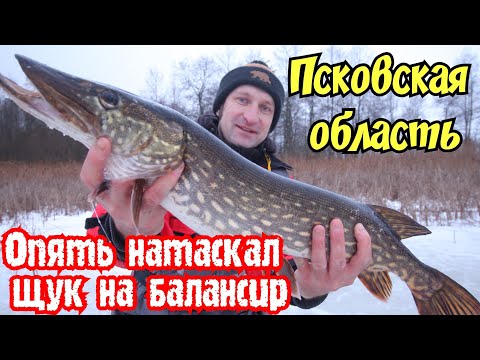 Видео: ✅ЛОВЛЯ ЩУКИ НА БАЛАНСИР ЗИМОЙ В ПСКОВСКОЙ ОБЛАСТИ