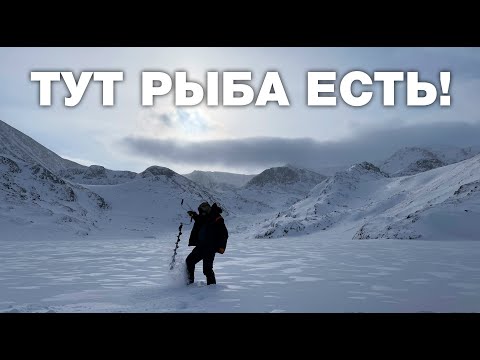 Видео: Бешеный клев хариуса на высокогорном озере Горного Алтая 2024
