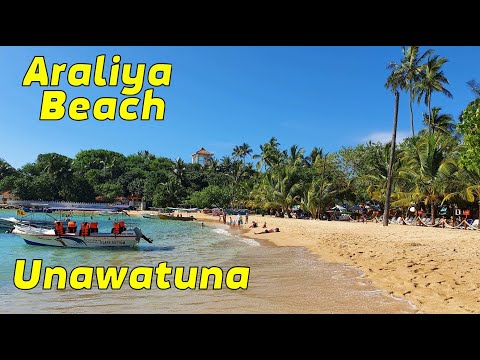 Видео: Отель Araliya Beach Unawatuna. Шри-Ланка. Экскурсия на озеро. Японская пагода.