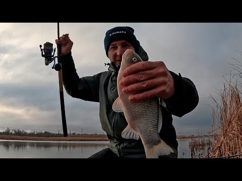 Видео: Супер рыбалка. Зимний фидер. Наловили карася!