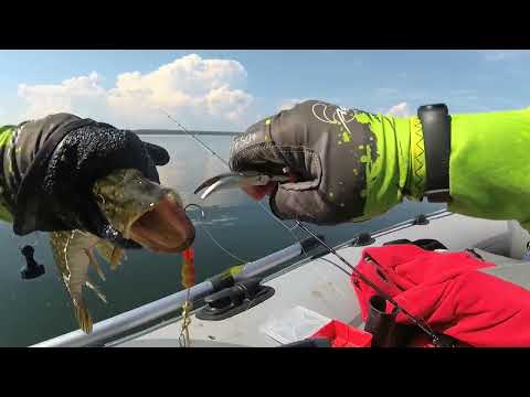 Видео: Много поклевок щуки с одной рыбалки. Смотрим кайфуем. #рыбалка #щука #fishing