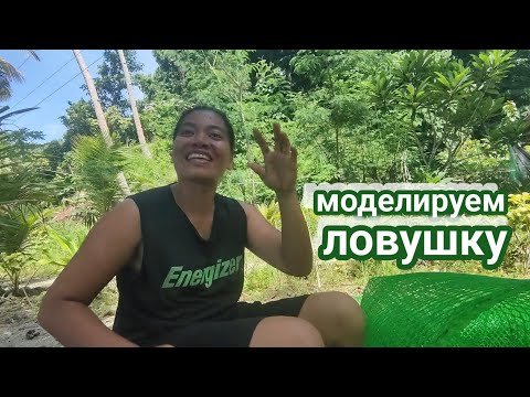 Видео: ловушка