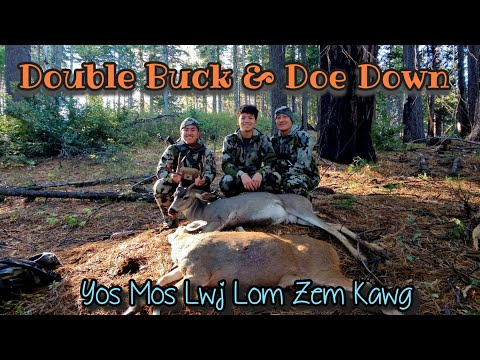 Видео: Охота на оленя и оленя D3-5 Double - Охота на оленя и оленя | Великолепное развлечение