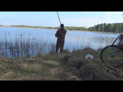 Видео: Отличная рыбалка на поплавок на озере по плотве