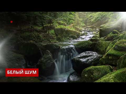 Видео: Шум водопада | Звуки природы 