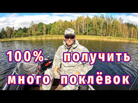 Видео: Лучший способ получить много поклёвок на любом водоёме!