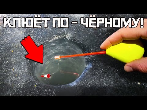 Видео: НАЛОВИЛ РЫБЫ НА ПРОСТУЮ СНАСТЬ! Рыбалка на зимний поплавок ПЕРЕД НОВЫМ ГОДОМ 2025.