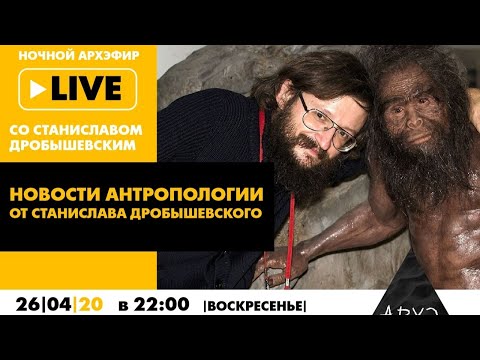 Видео: Ночной АРХЭфир «Новости антропологии от Станислава Дробышевского»