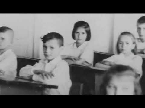 Видео: Мой любимый город Александровск