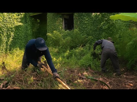 Видео: 2 дня уборки, и случилось нечто неожиданное — странно приятное