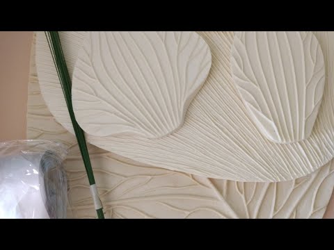 Видео: Ответы на вопросы