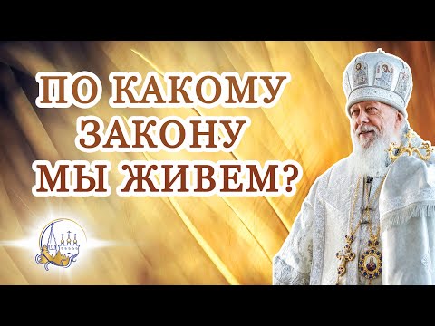 Видео: По какому закону мы живем?