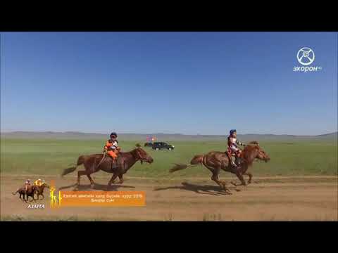 Видео: 2019 оны Хэнтий аймгийн хойд бүс