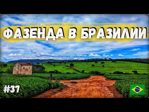 Видео: Фазенда и кофейная плантация в Бразилии. Велопутешествие ✓37