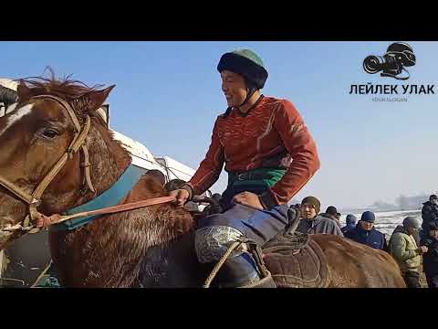 Видео: Мына Улак Пай пай Бишкек шаары Лейлек Улак зор болду голбо Жааматы Өткөрүп берди 12.01.25