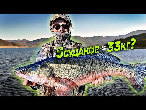 Видео: Такое бы в туре PAL ! Заключительная тренировка Жребчево