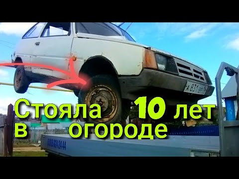Видео: ОНА СТОЯЛА 10 ЛЕТ В ОГОРОДЕ   , КУПИЛ У ДЕДА  ЗАЗ 1102 , 1 часть обзор