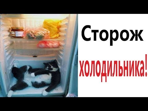 Видео: Лютые приколы. СТОРОЖ ХОЛОДИЛЬНИКА!!! Самое смешное видео! Засмеялся проиграл! - Domi Show!