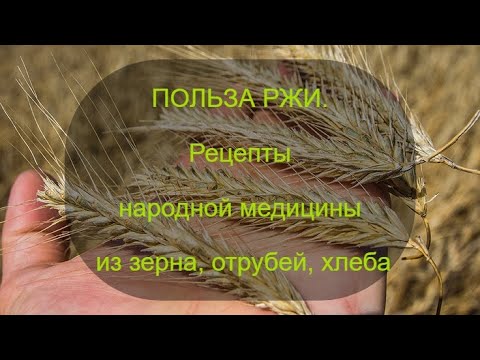 Видео: Польза ржи.  Рецепты народной медицины из зерен, отрубей, хлеба