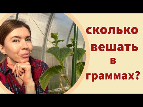 Видео: ЧЕМ ПОДКОРМИТЬ ДЛЯ ХОРОШЕГО УРОЖАЯ. График подкормок на весь сезон, что вносить, сколько и когда?